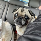Benny