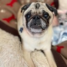 Benny