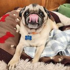 Benny