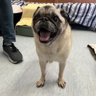 Benny