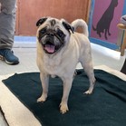Benny