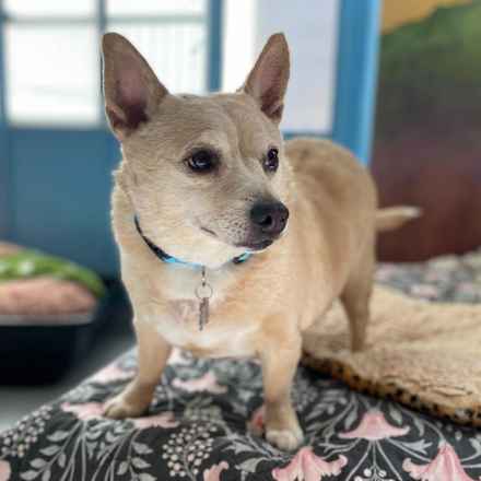 Deep Dish & Jambalaya