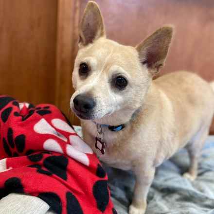 Deep Dish & Jambalaya