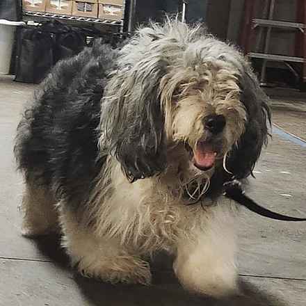Deep Dish & Jambalaya