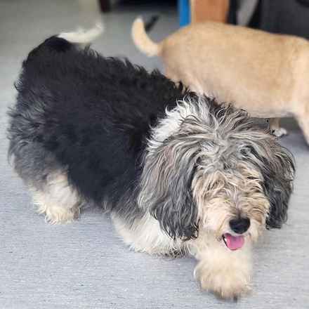 Deep Dish & Jambalaya