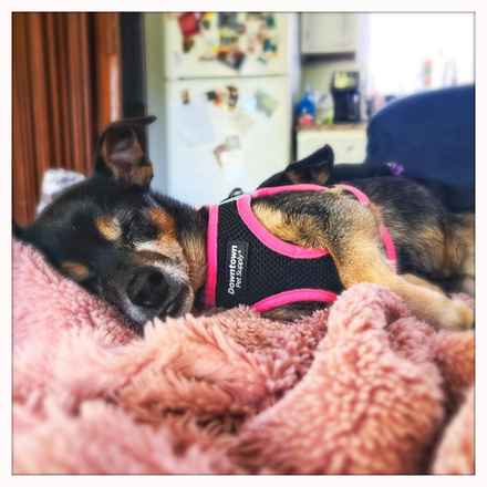 Polly Pocket & Selma Lou