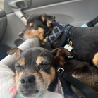 Polly Pocket & Selma Lou