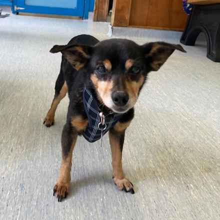 Polly Pocket & Selma Lou