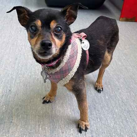 Polly Pocket & Selma Lou