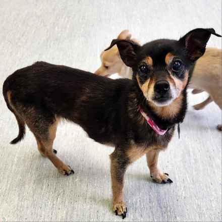 Polly Pocket & Selma Lou