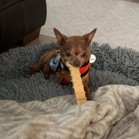 Slugger (Bean)