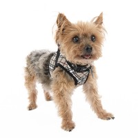 Tweed