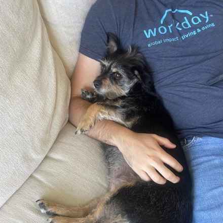 Fruity Pebbles (Tessa)