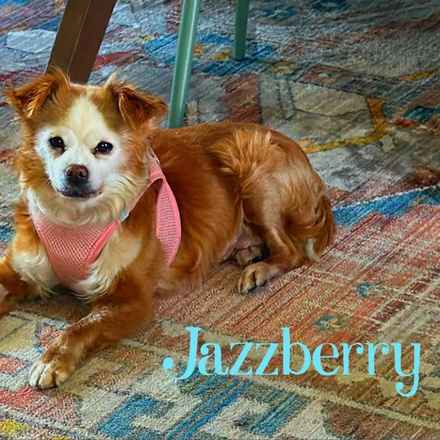 Jazzberry