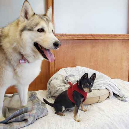 Hootenanny & Stagecoach Mary