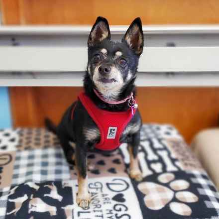 Hootenanny & Stagecoach Mary