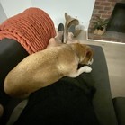 Meatball