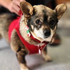 Jenny