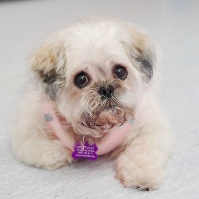Bernadette