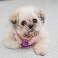 Bernadette