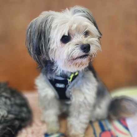 Kerpuffle & Vacation