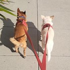 Kittle & Purdy
