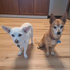 Kittle & Purdy