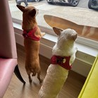 Kittle & Purdy