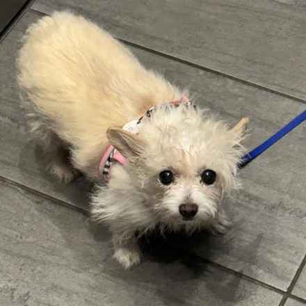 Izzy & Sally O'Malley