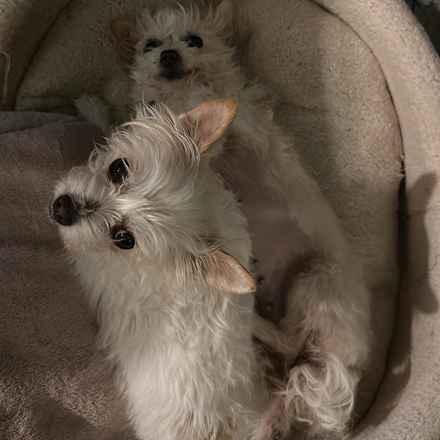 Izzy & Sally O'Malley