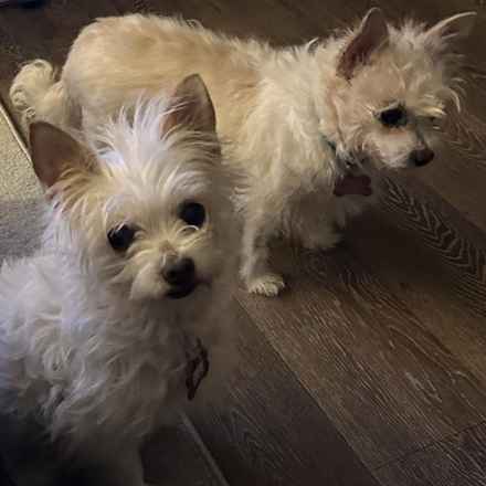 Izzy & Sally O'Malley