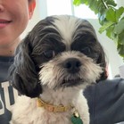 Lorenzo