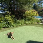 Wiley