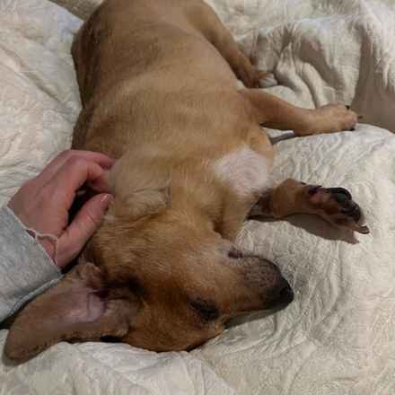 Casserole & Al Dente