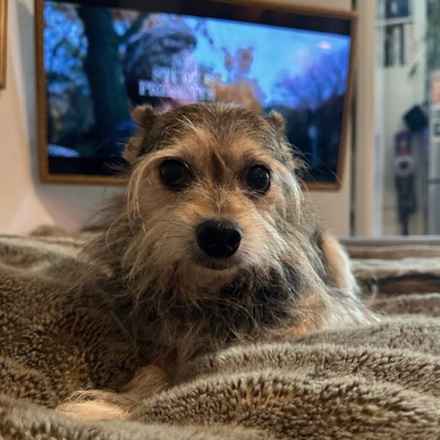 Casserole & Al Dente