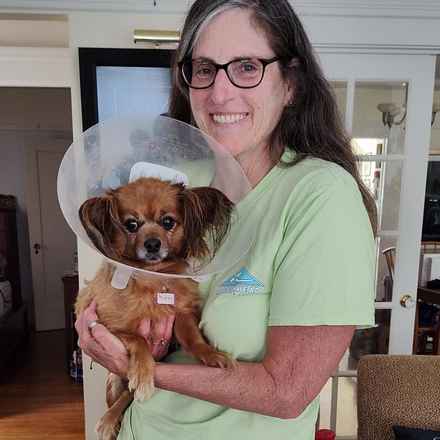 Midge (Miss Vivien Butterfly)