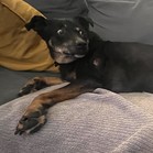 Bonita