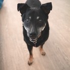 Bonita