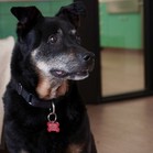 Bonita