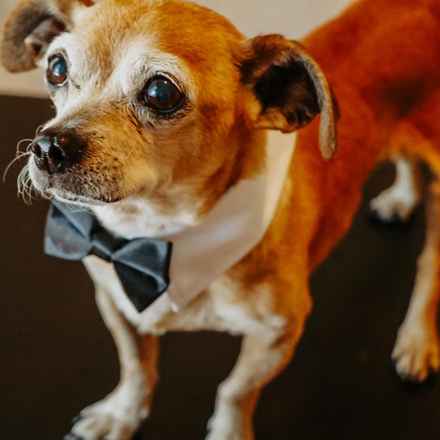 Slim Charles (Slim Shady)