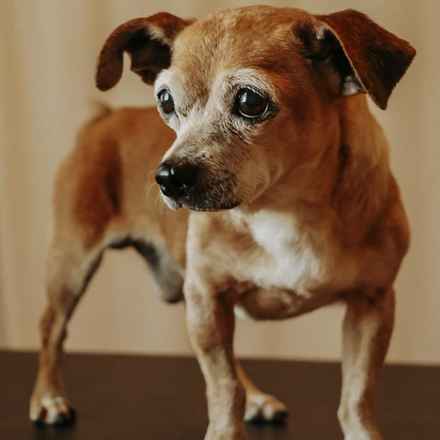 Slim Charles (Slim Shady)