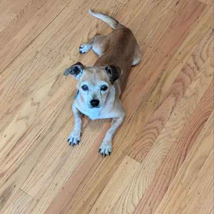 Slim Charles (Slim Shady)