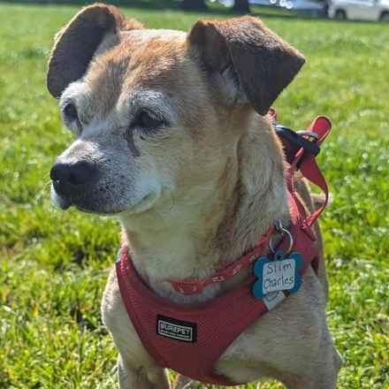 Slim Charles (Slim Shady)