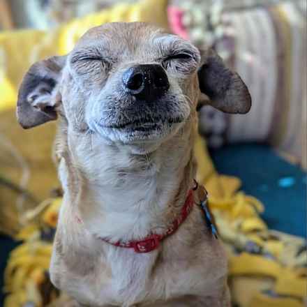 Slim Charles (Slim Shady)