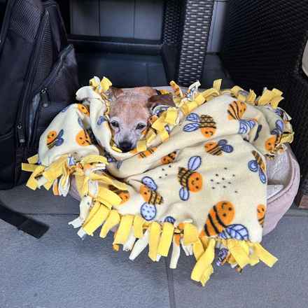 Slim Charles (Slim Shady)