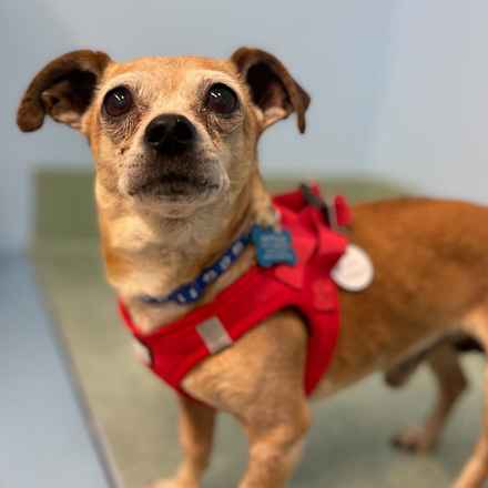 Slim Charles (Slim Shady)