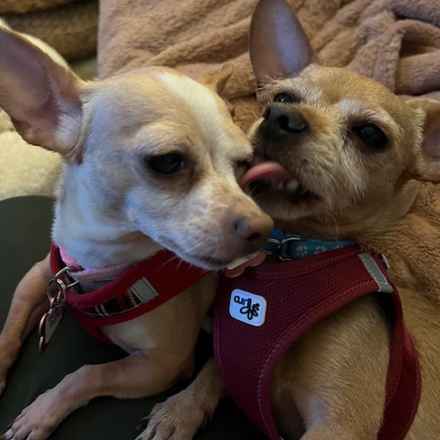 Ginger Rogers & Frederick Jr.