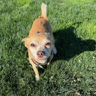 Tugboat Annie (Annie)