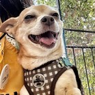 Tugboat Annie (Annie)