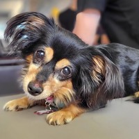 Myrna (Bailey)